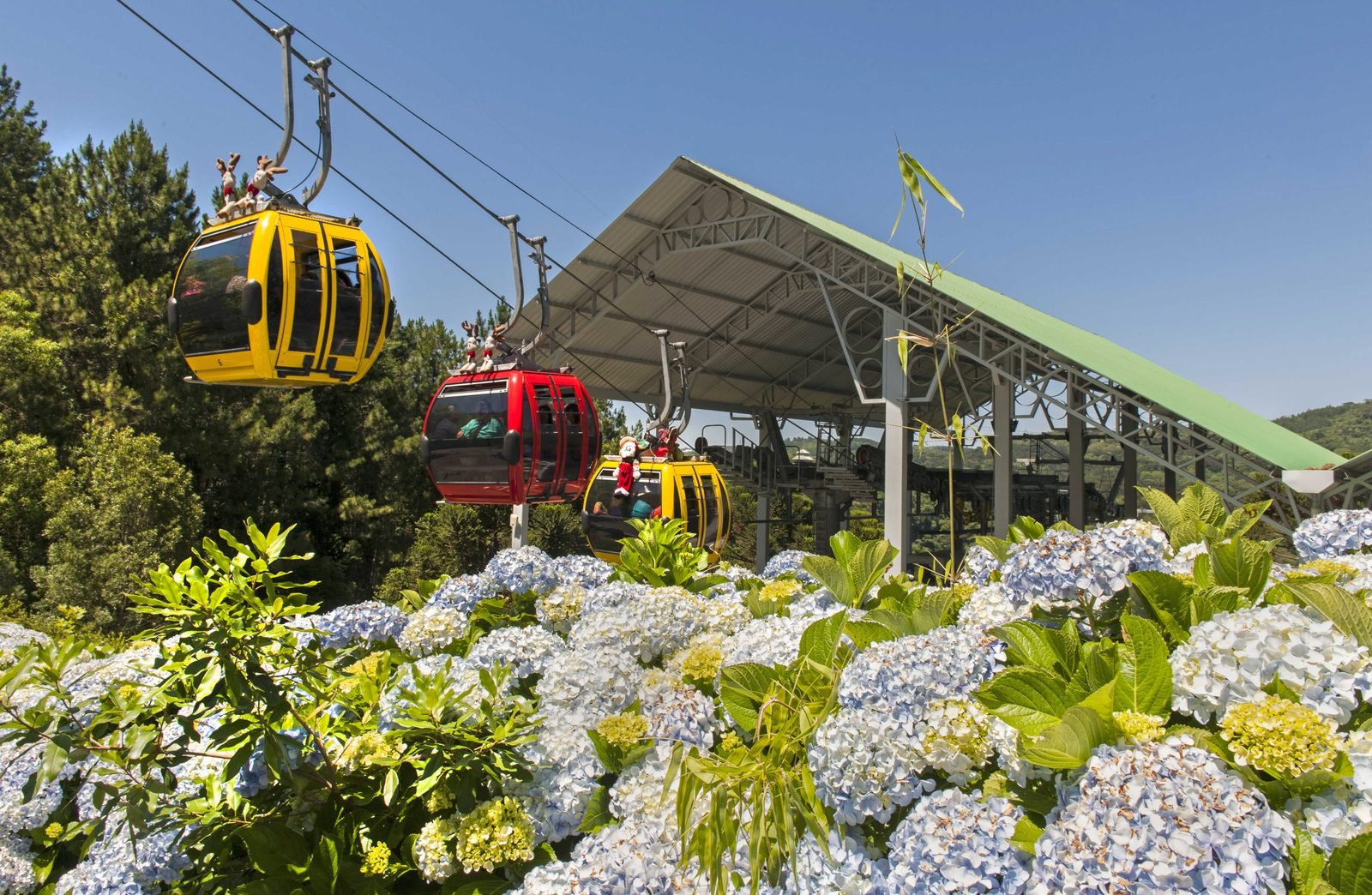 Esculturas em madeira expostas na Estação Animal