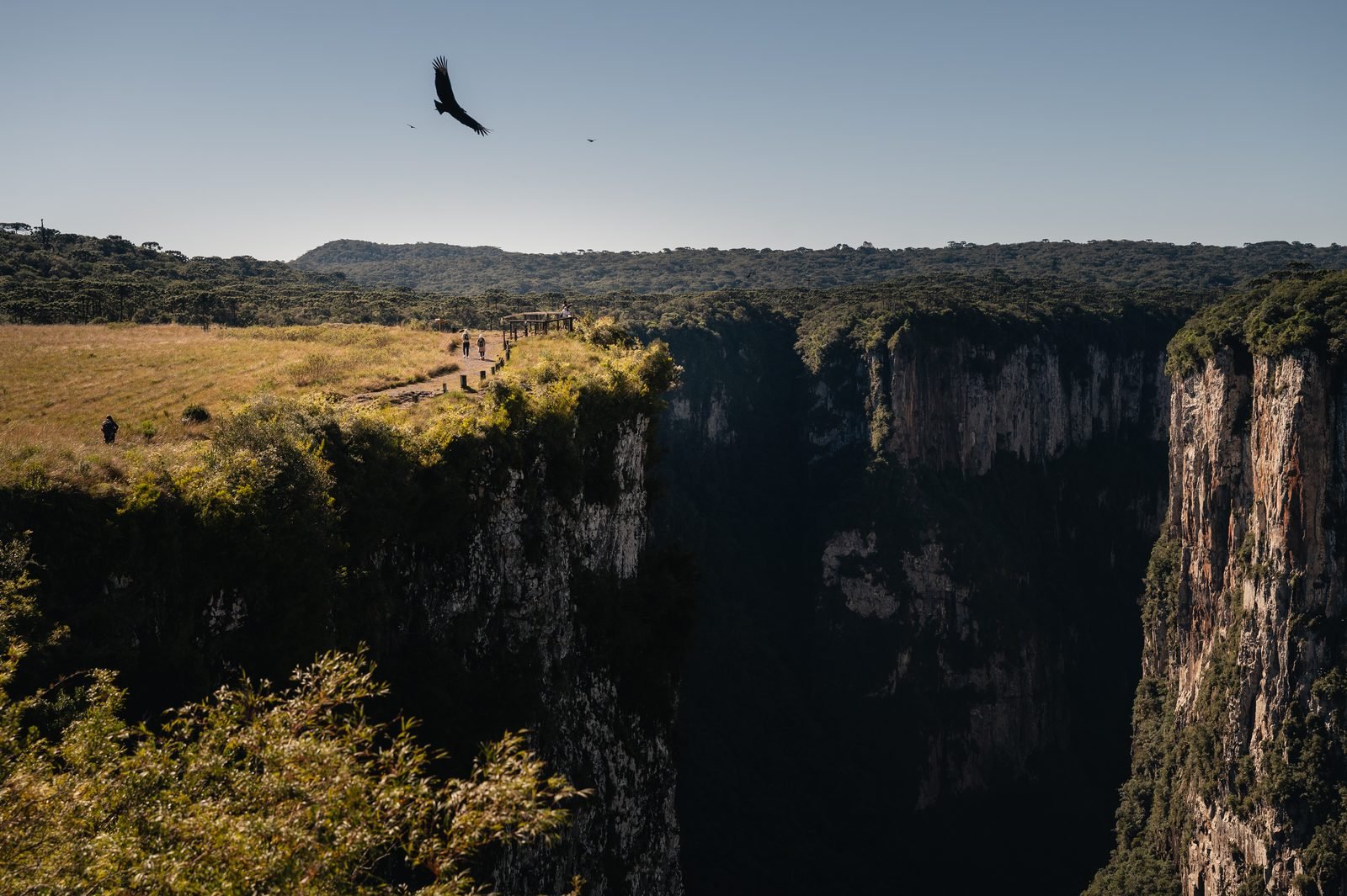 Campos e formação rochosa do Parque Nacional dos Aparados da Serra em Cambará do Sul