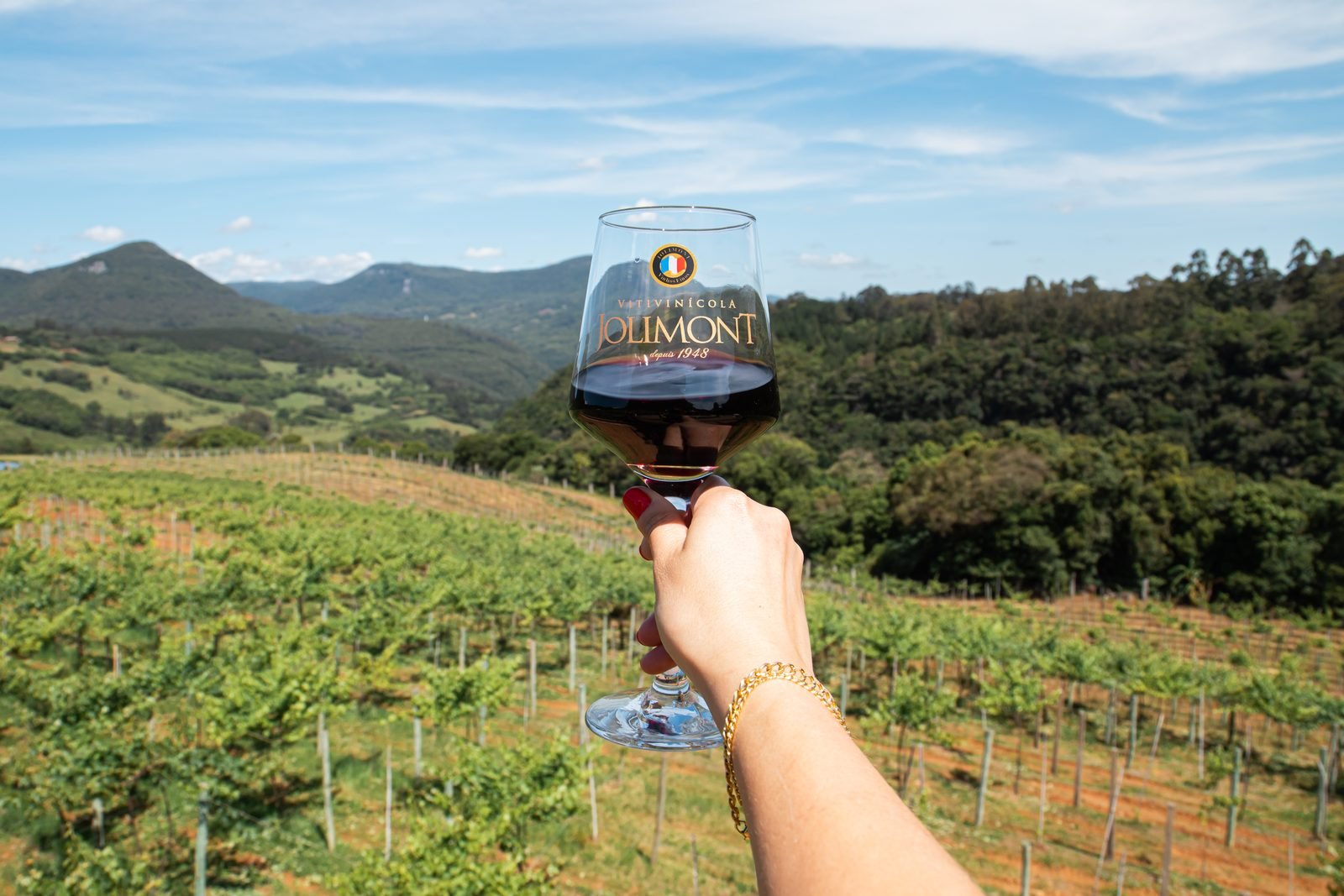 Taças servidas na degustação orientada da Vinícola Jolimont