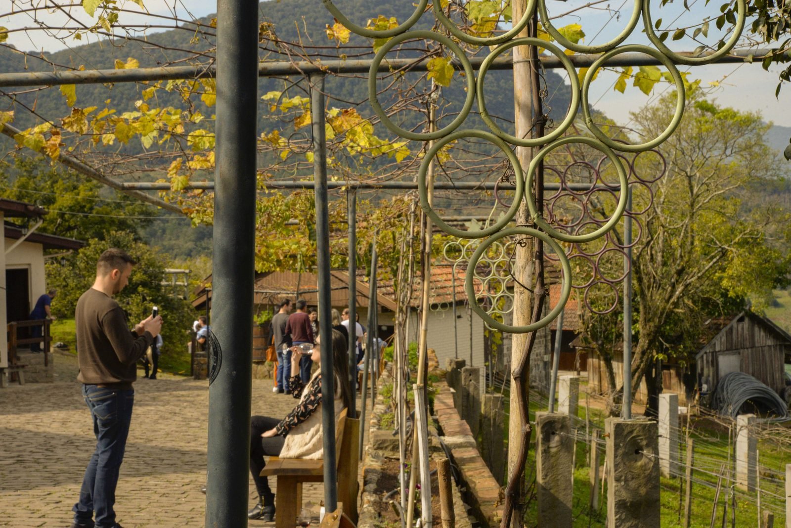 Vinícola Jolimont com Degustação