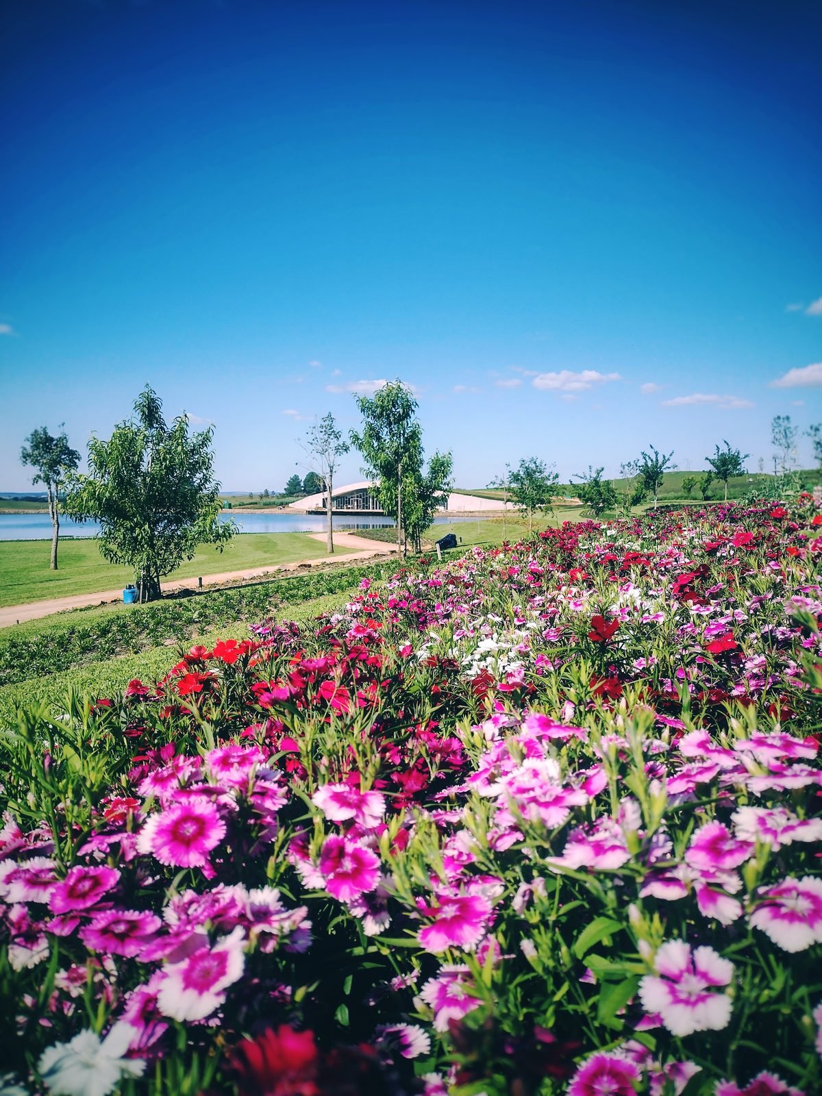 Mátria Parque de Flores em São Francisco de Paula
