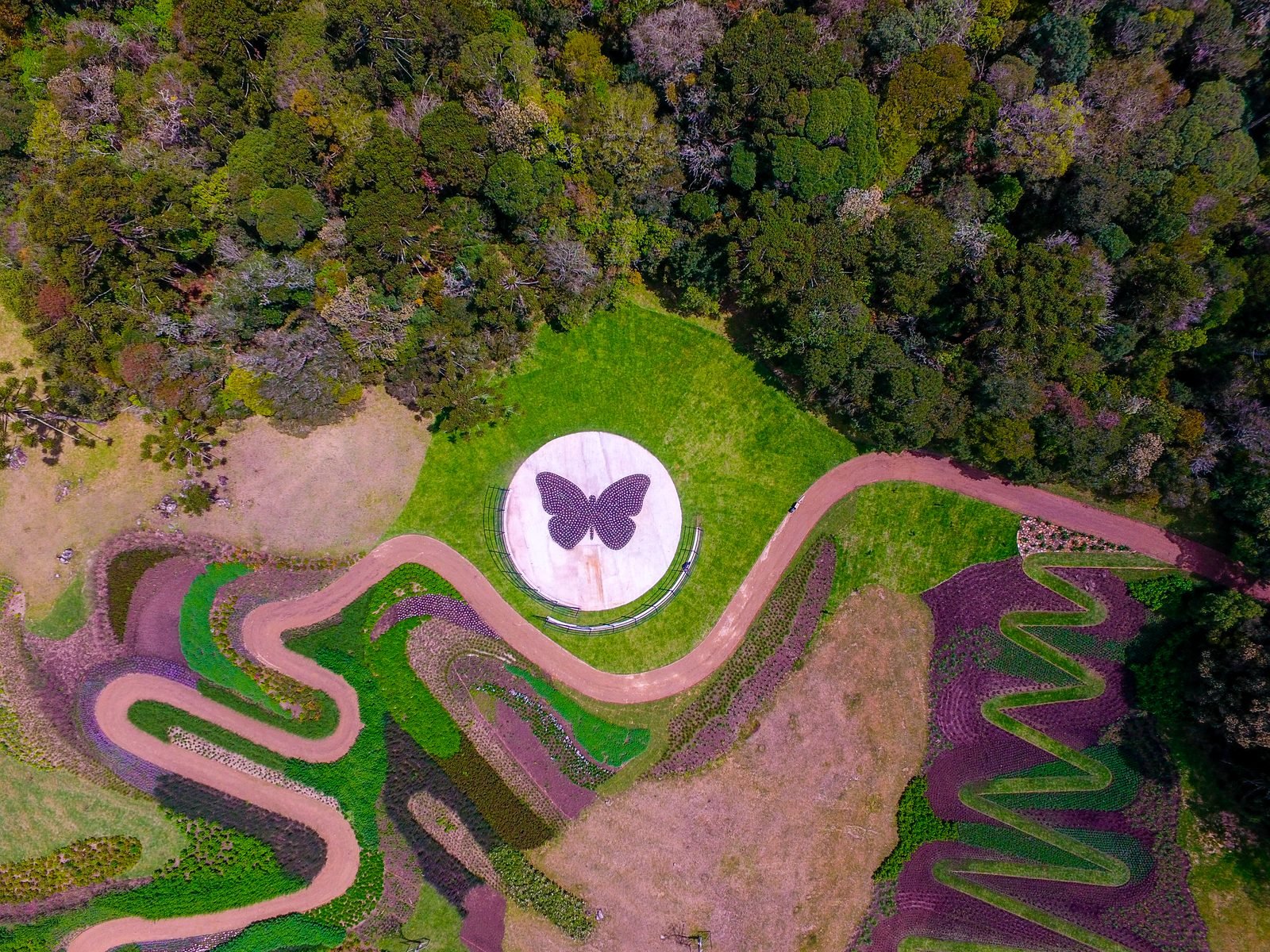 Caminho entre jardins do parque com flores em diferentes estágios