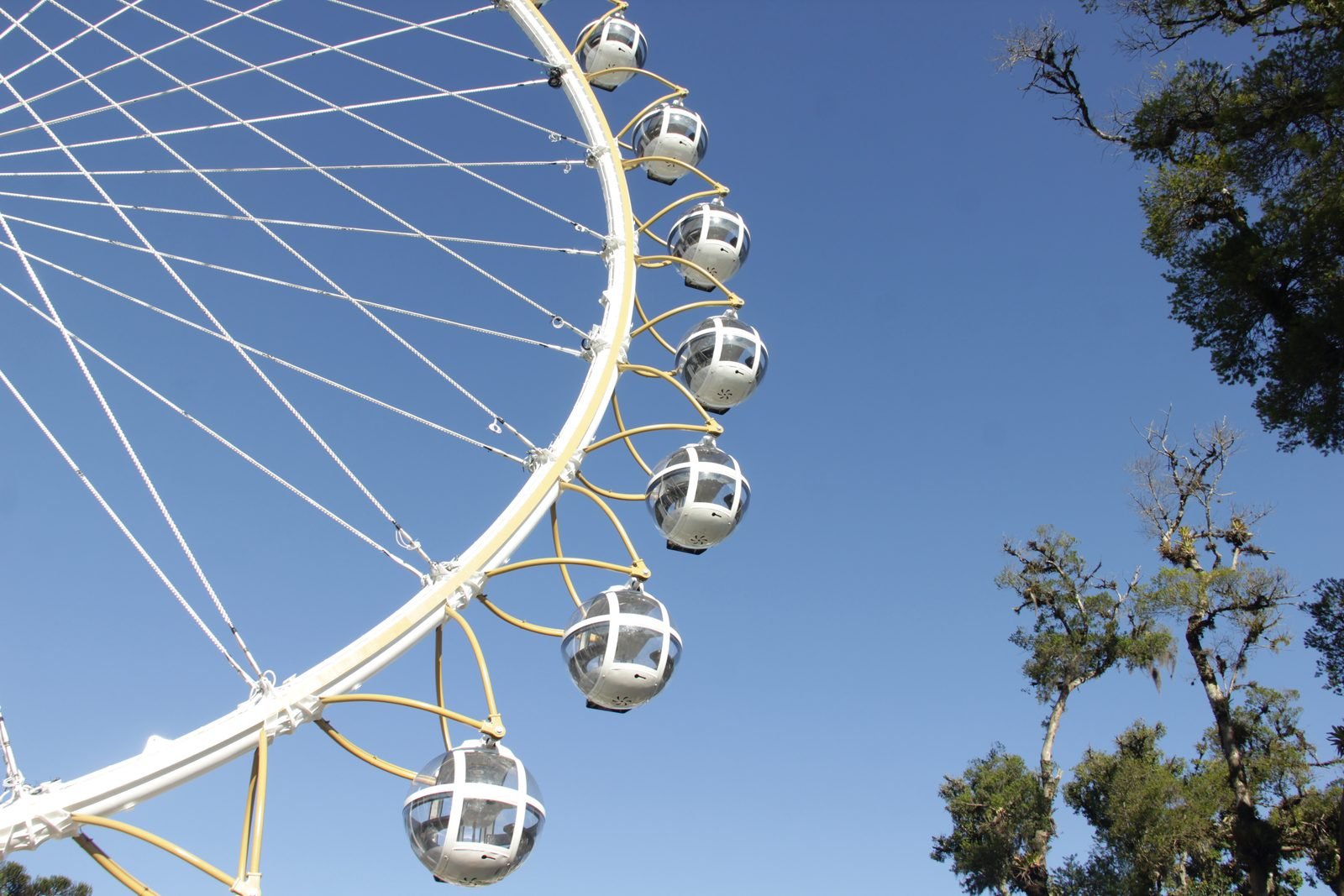 Roda gigante Roda Canela vista de baixo com cabines coloridas em Canela
