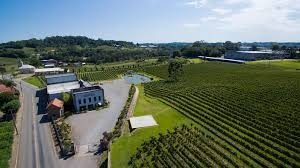 Garrafas de vinho da Serra Gaúcha